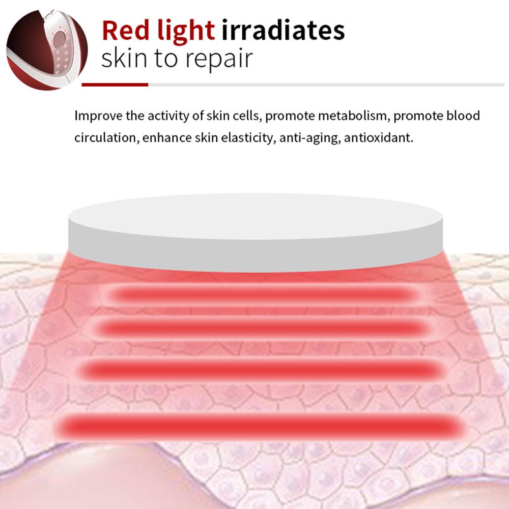LED Light Therapy Massager & Slimming Facial Device